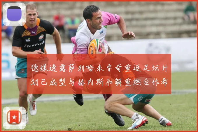 德媒透露萨利哈米季奇重返足坛计划已成型与赫内斯和解重燃合作希望